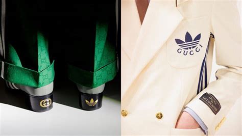 adidas kooperation gucci